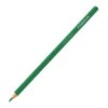 Staedtler Colour Pencil - Green (146C-5) -Drawing Tools & Stationery-Staedtler 465c6c4c0d6ef31eca036ac9d875bfdc1df49312 square2911466 1