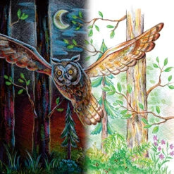 Staedtler Coloured Pencil Super Soft - Tin - 24 Pack (149C M24) -Drawing Tools & Stationery-Staedtler 57e5c870a55644d8727da91f73069cdadfacde7e square3003895 5