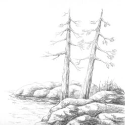 Staedtler Full Graphite Pencil - Mars Lumograph - 6 Pack -Drawing Tools & Stationery-Staedtler 584d64f601dd859087a32d72885bea7924350128 square3003844 4