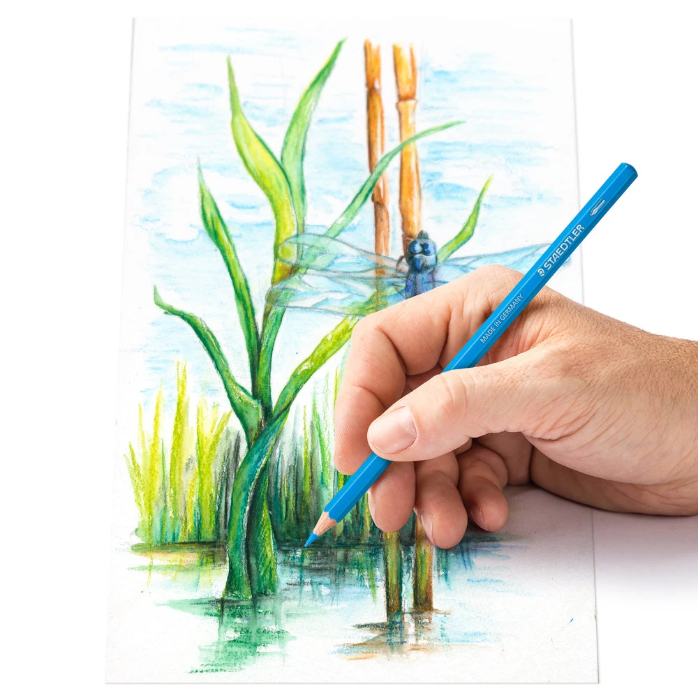 Staedtler Watercolour Pencils - Tin - 12 Pack (14610C C12) 6 Staedtler Watercolour Pencils - Tin - 12 Pack (14610C C12) - Image 4