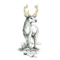 Staedtler Pigment Liner Pens, Assorted, 4 Pack -Drawing Tools & Stationery-Staedtler 67e601a73a97f11d755d323e26729436d08fe0f4 square13272 5