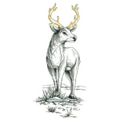 Staedtler Pigment Liner Sketch Pens - 0.5mm - Black Ink -Drawing Tools & Stationery-Staedtler 6afb7bbdba61d0a7b59d05f96b715a3a184fcffb square977492 3