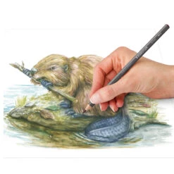 Staedtler Tinted Watercolour Pencils - Tin - 12 Pack (14610T M12) -Drawing Tools & Stationery-Staedtler 6e6cba23d8bc5a6a7e9d2d59577c75388fbe95e2 square3003945 5