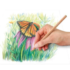 Staedtler Pastel Coloured Pencils - Tin - 12 Pack (146P M12) -Drawing Tools & Stationery-Staedtler 7f9cfe0b2fad4437362446972ee5906375347796 square3003896 5