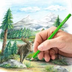 Staedtler Design Journey Coloured Pencils 48 Tin -Drawing Tools & Stationery-Staedtler design journey coloured pencils 48 tin p18900 62204 zoom