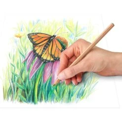 Staedtler Design Journey Pastel Coloured Pencils 12 Tin -Drawing Tools & Stationery-Staedtler design journey pastel coloured pencils 12 tin p18902 62194 zoom