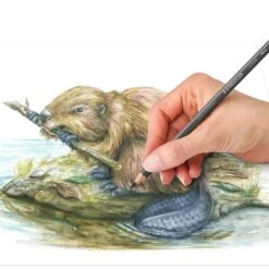 Staedtler Design Journey Tinted Watercolour Pencils 12 Tin -Drawing Tools & Stationery-Staedtler design journey tinted watercolour pencils 12 tin p18898 62213 zoom